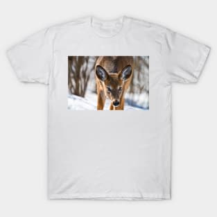 White-tailed Deer T-Shirt